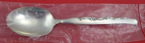 Serving Spoon factory sealed  8 1/4